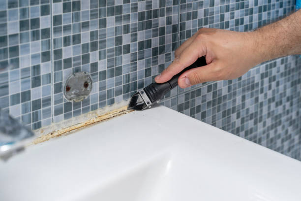 Best Commercial Mold Removal  in Bloomsburg, PA